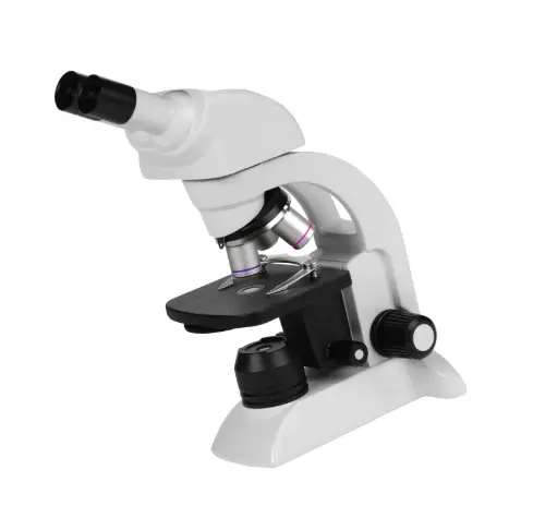 [1100103800222] Basic Inverted Microscope for Live-Cell Viewing
